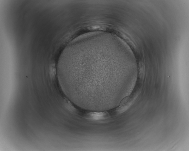 X0000111810085200908061124