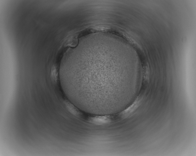 X0000111810086200908061124