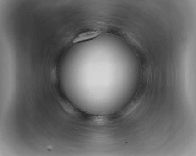 X0000111810088200908061124