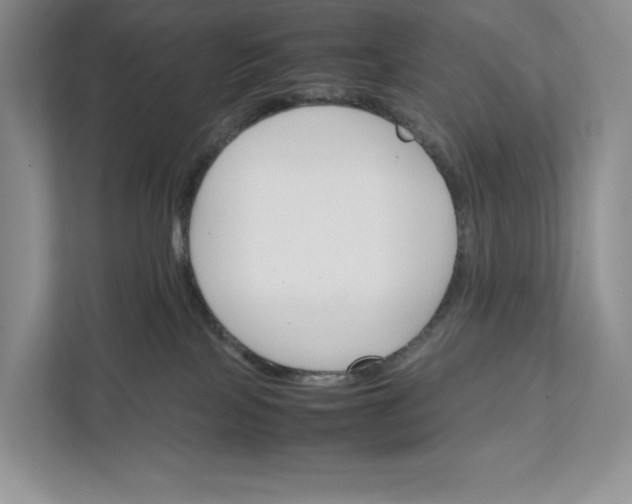 X0000111810089200908061124