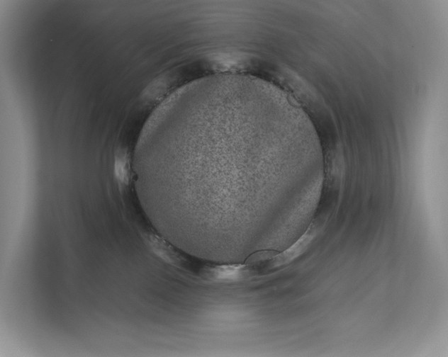 X0000111810090200908061124