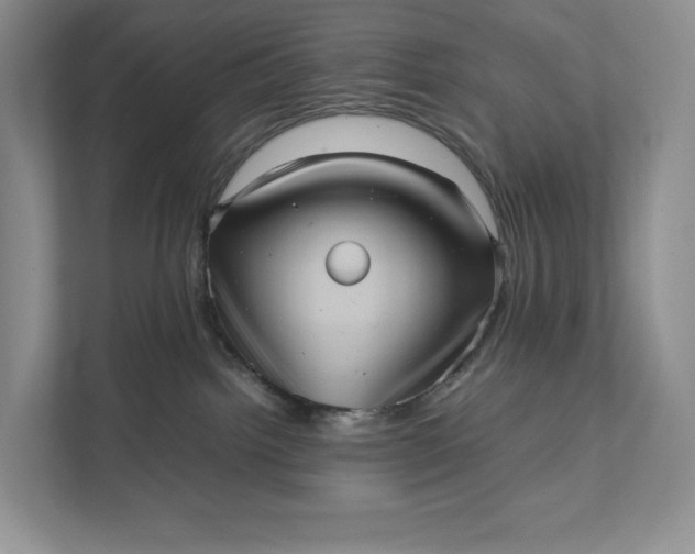 X0000111810092200908061124