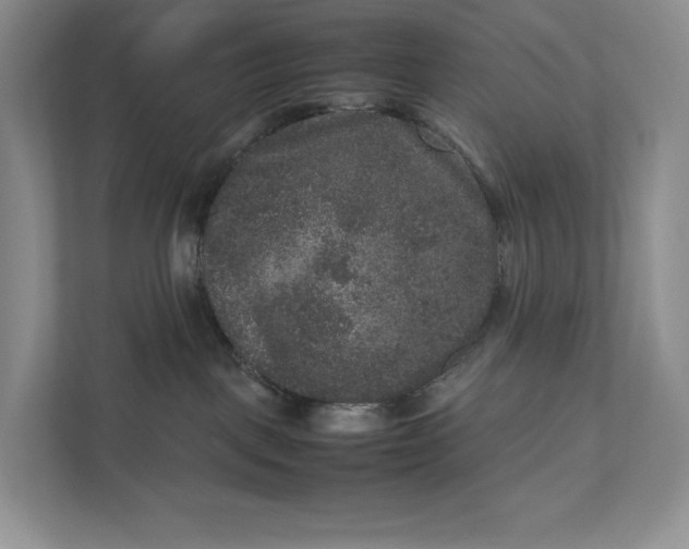 X0000111810093200908061124