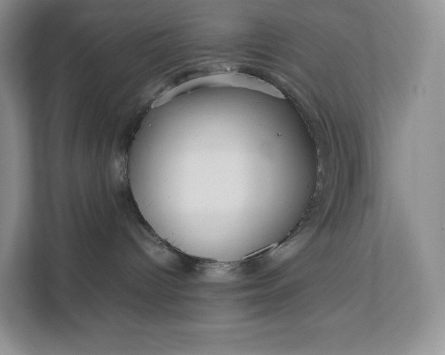 X0000111810096200908061124