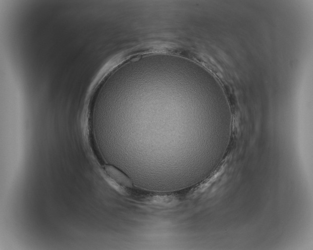 X0000111810101200908061123