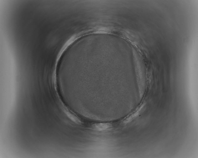 X0000111810102200908061123
