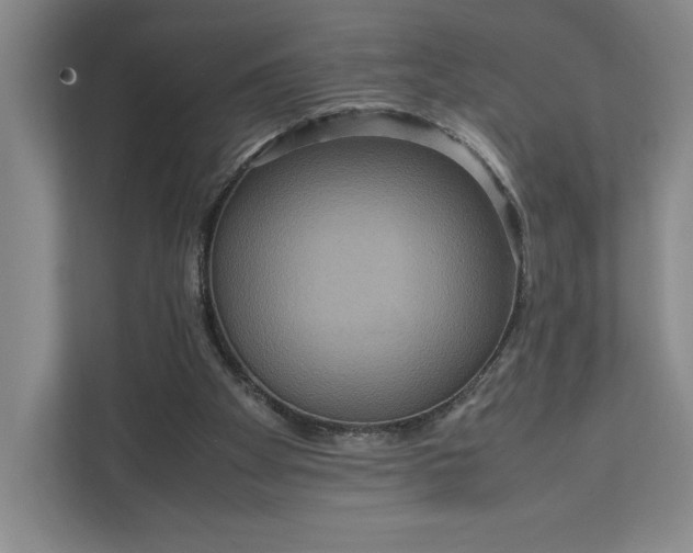X0000111810105200908061123