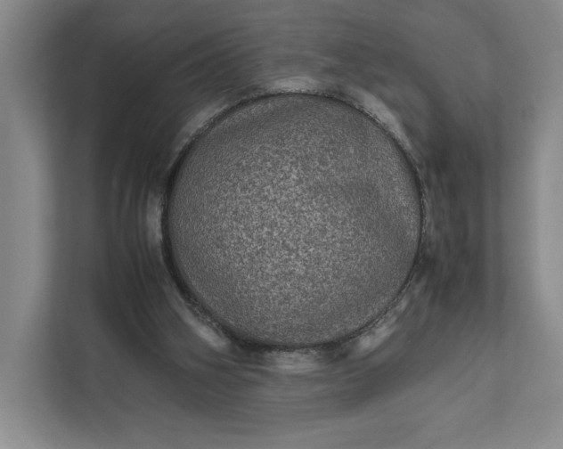 X0000111810106200908061123