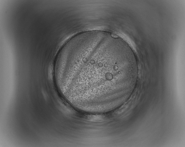 X0000111810107200908061123
