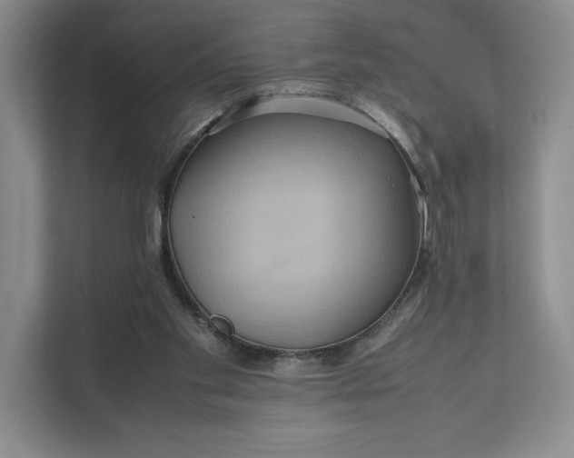 X0000111810109200908061123