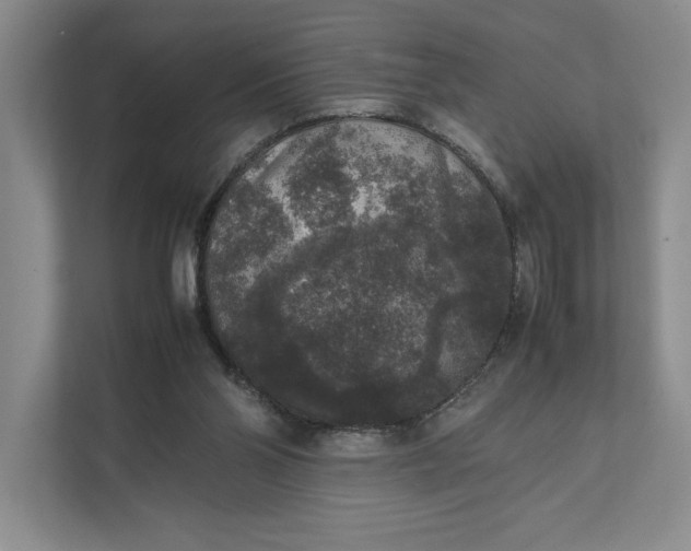X0000111810110200908061123