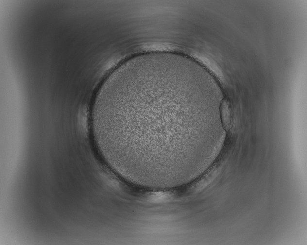 X0000111810111200908061123