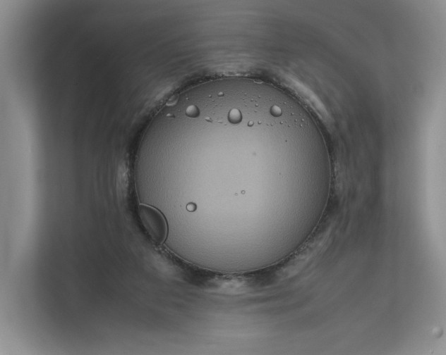 X0000111810113200908061123