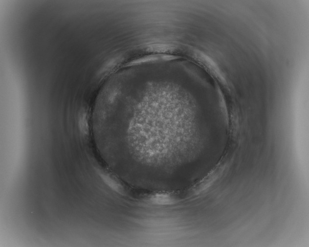 X0000111810114200908061123