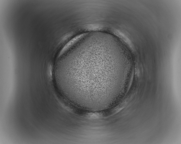 X0000111810115200908061123