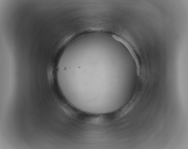 X0000111810116200908061123