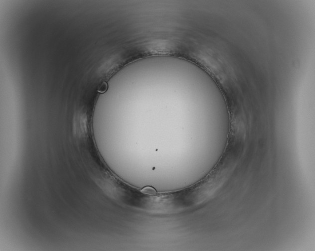 X0000111810117200908061123