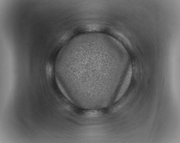 X0000111810123200908061123
