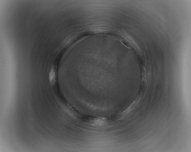 X0000111810124200908061123