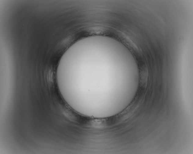 X0000111810126200908061123