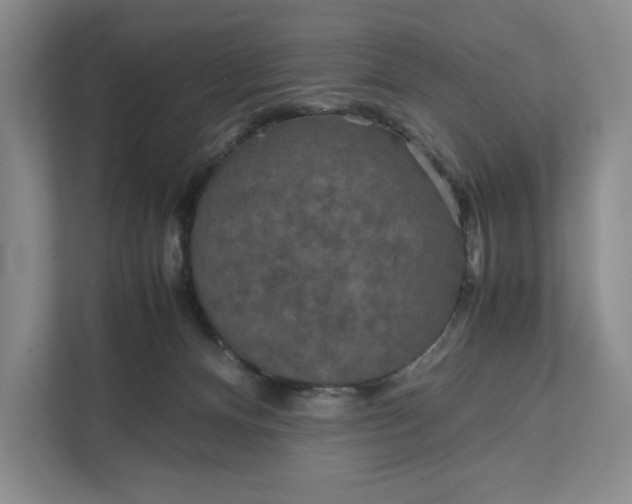 X0000111810128200908061123