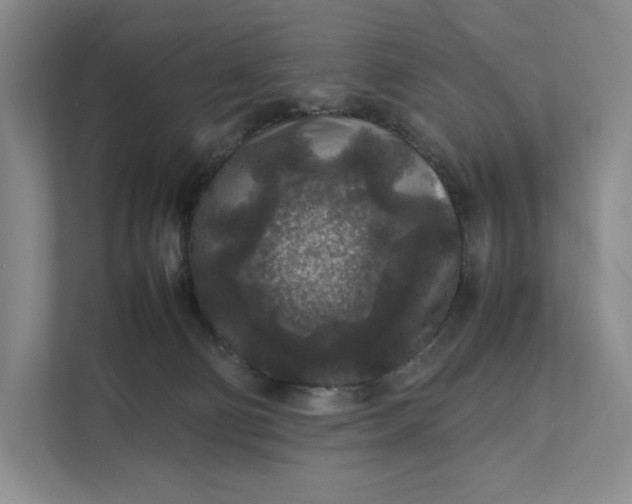 X0000111810130200908061123