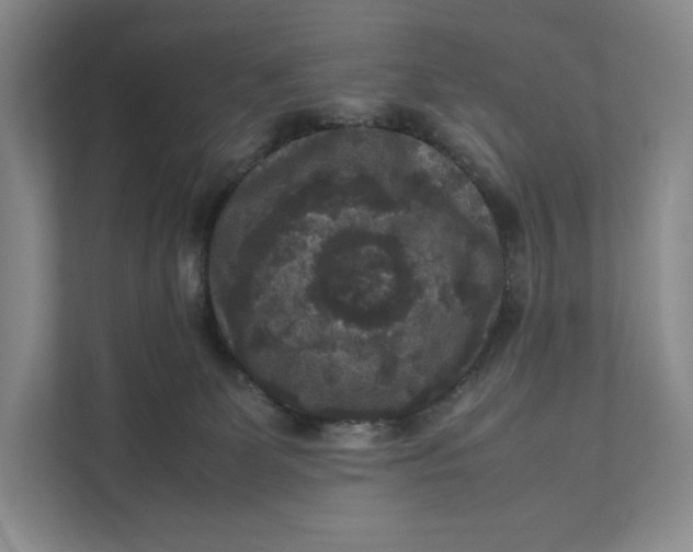 X0000111810131200908061123
