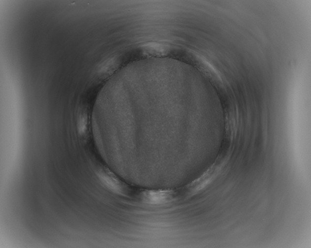 X0000111810134200908061123