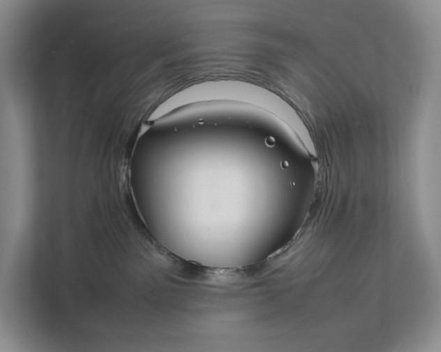 X0000111810141200908061123