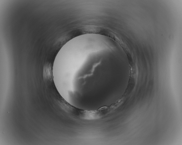X0000111810143200908061123