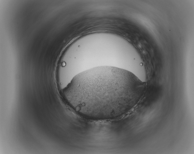 X0000111810146200908061122