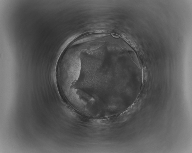 X0000111810147200908061122