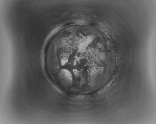 X0000111810149200908061122