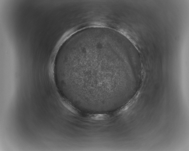 X0000111810151200908061122