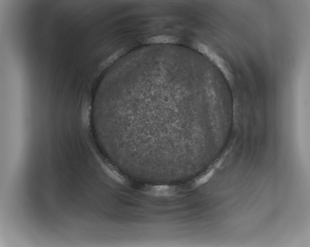 X0000111810153200908061122