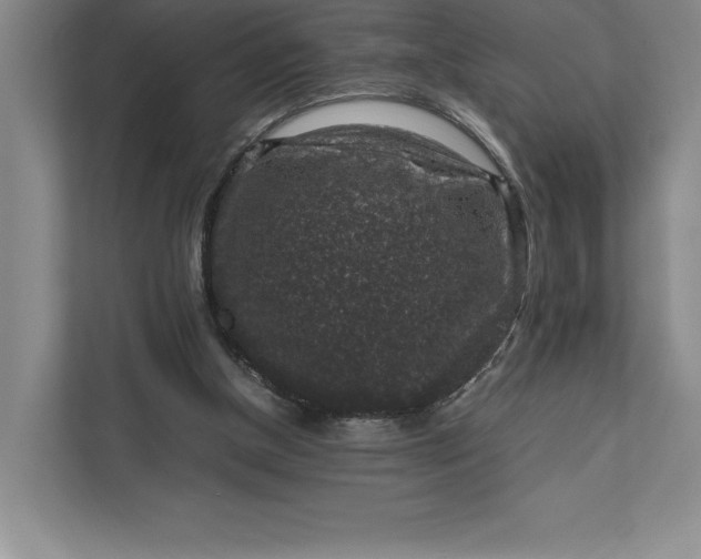 X0000111810154200908061122