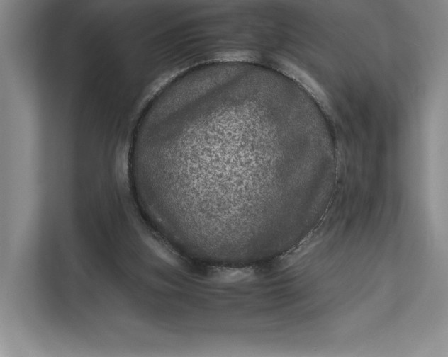 X0000111810155200908061122