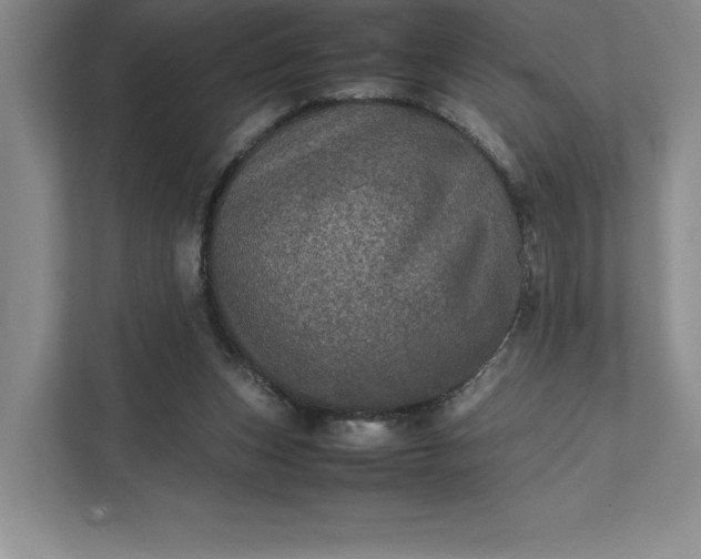 X0000111810159200908061122