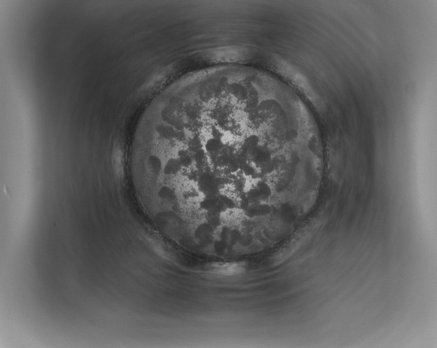 X0000111810161200908061122