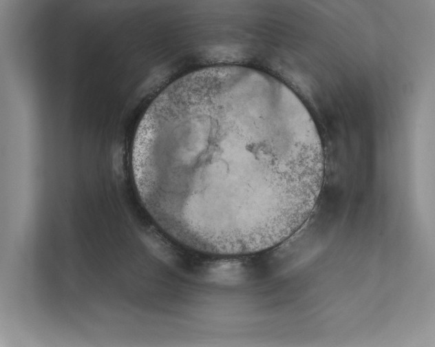 X0000111810162200908061122