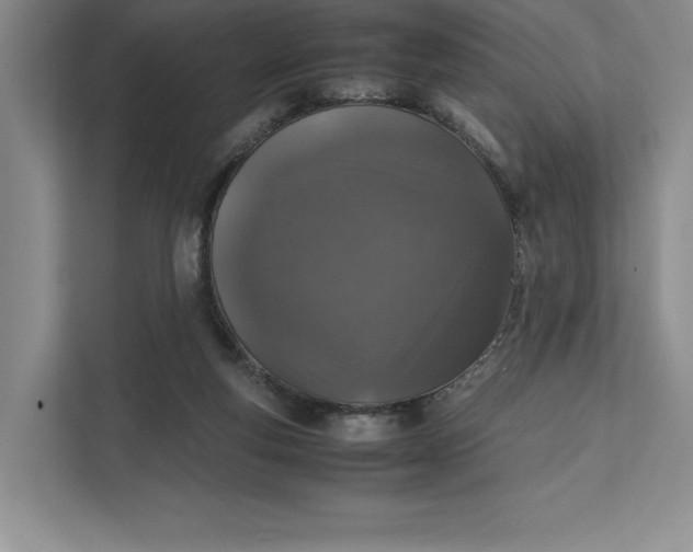 X0000111810163200908061122