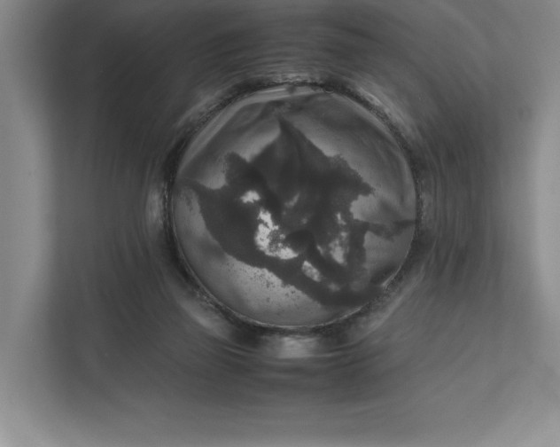 X0000111810165200908061122