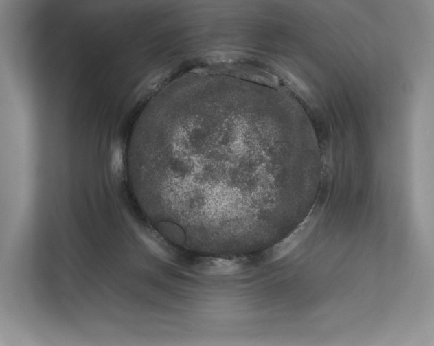X0000111810166200908061122