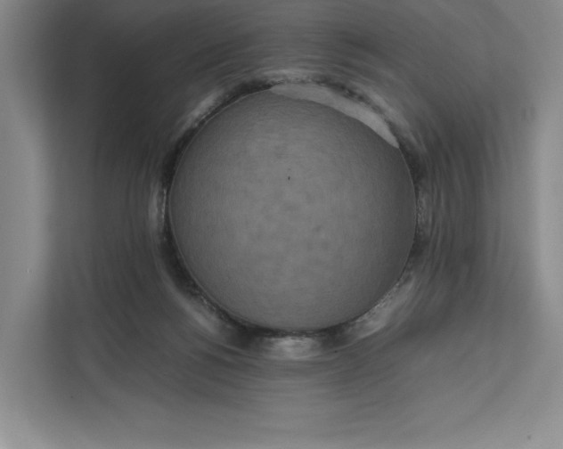 X0000111810168200908061122