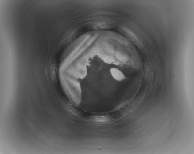 X0000111810169200908061122