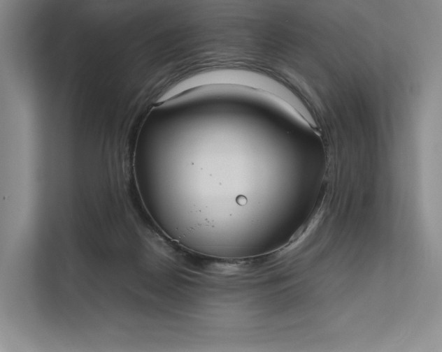 X0000111810170200908061122