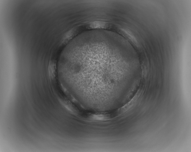 X0000111810171200908061122