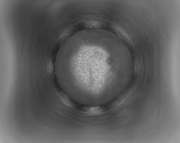 X0000111810173200908061122
