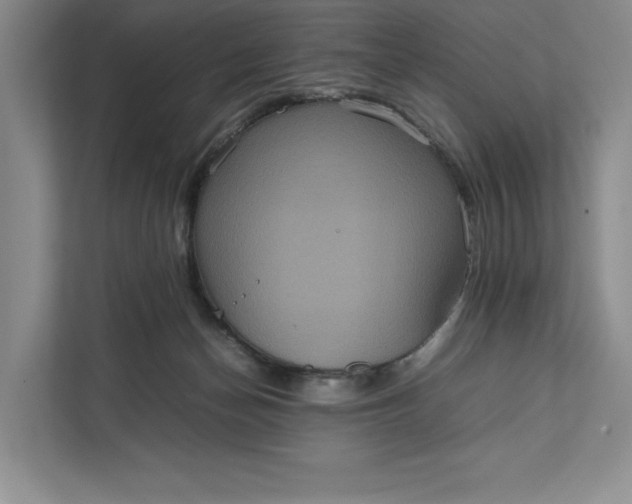 X0000111810174200908061122