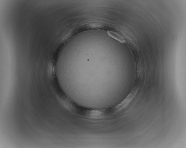 X0000111810176200908061122